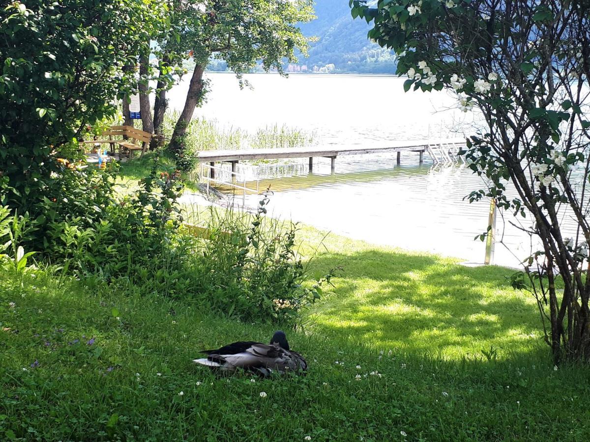 Seeblick Appartement ANNA, Haus Hänsel&Gretel direkt am Ossiachersee mit Hallenbad, Skiarena Gerlitzen Bodensdorf Exterior foto
